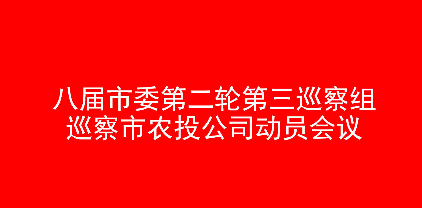 八届市委第二轮第三巡察组巡察市农投公司动员会议召开